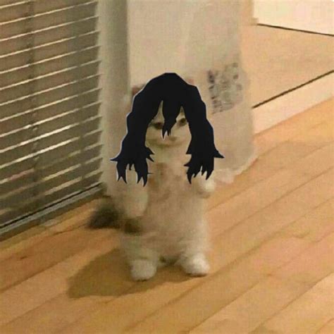 Aizawa En Michi😼 Anime Kitten Cat Icon Anime Memes Funny