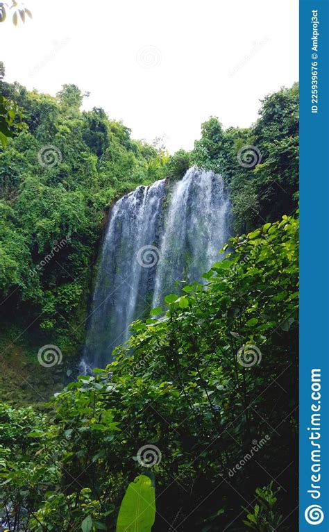 Waterfall In The Middle Of A Green And Cool Forest Stock Photo Image