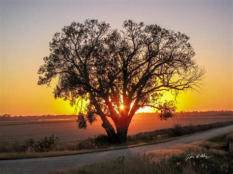 Lone Tree At Sunset Photograph By Jeffrey Henry Fine Art America