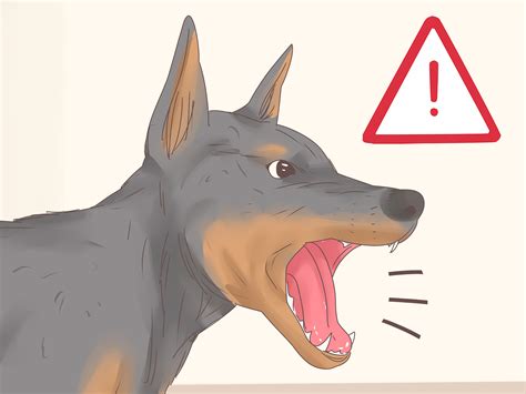 3 Ways To Understand Your Dogs Body Language Wikihow