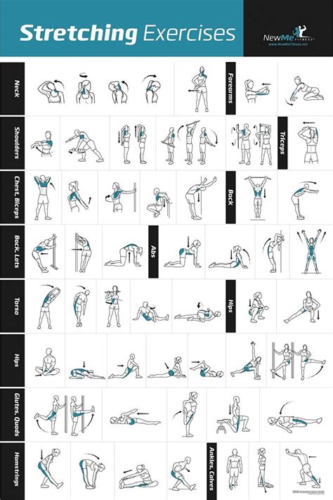 Fitness Exercise Posters Newme Stretching Exercises