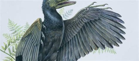 Why Were Birds The Only Dinosaurs To Survive The Mass Extinction Bbc Science Focus Magazine