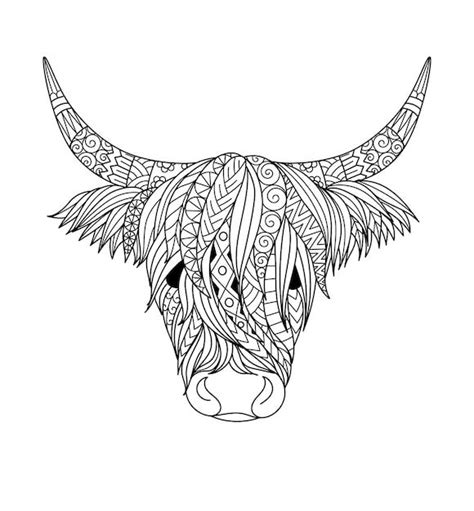 Premium Vector Highland Cow Design For Coloring Bookcoloring Page T