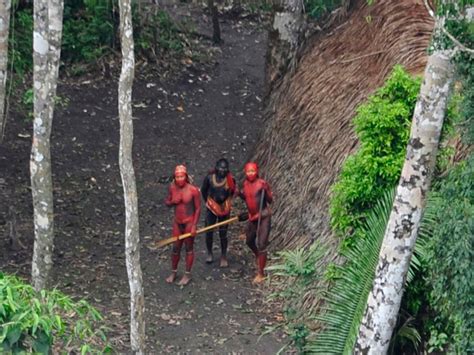 Uncontacted Tribes Amazon Rainforest