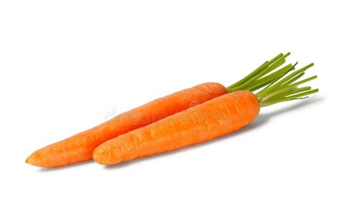 Two Carrots On White Stock Image Image Of Healthy Cooking 74153541