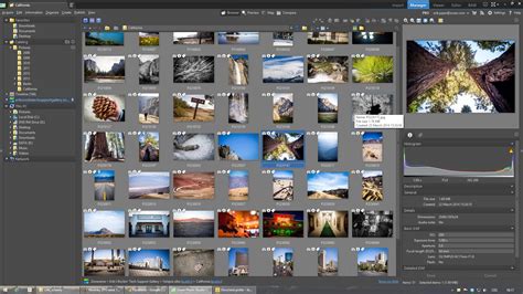 Zoner Photo Studio 17 Pro Photo Editing Software For Pc