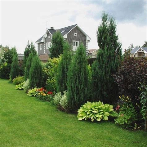 47 Cheap Privacy Landscaping Ideas Privacy Landscaping Small