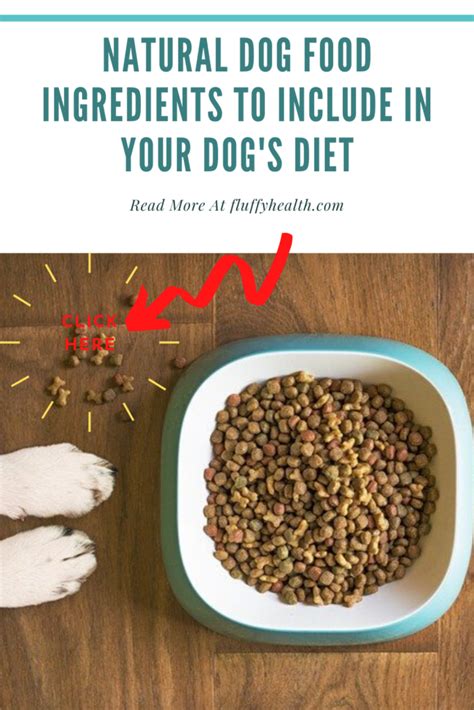 If you're concerned about proper feline nutrition, ingredient quality, allergies, nutrition profiles, weight loss or simply feeding your finicky cat, the catfooddb is the perfect research tool to. Natural Dog Food Ingredients To Include In Your Dog's Diet ...