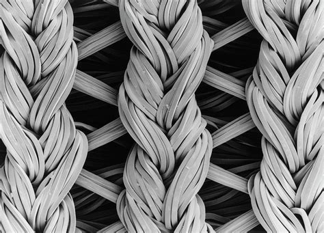 Sem Of Lycranylon Woven Fabric Photograph By Dr Jeremy Burgessscience