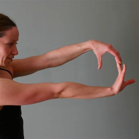 Extensor Forearm Stretch Exercise Technique And Definition