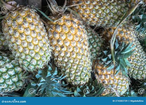 Pineapple Background Many Ripe Yellow Pineapples In The Asian Fruit Food Pineapple Market Sri