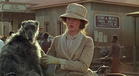 Next, the supporting roles in out of africa vary in greatness. Months of Meryl: "Out of Africa" - Blog - The Film Experience