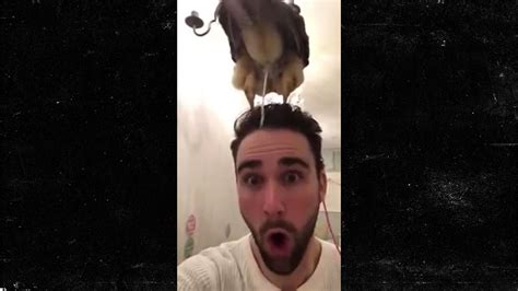 Video Shows Owl Pooping On Mans Head