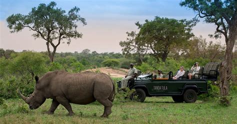 Big Five Safari Animals