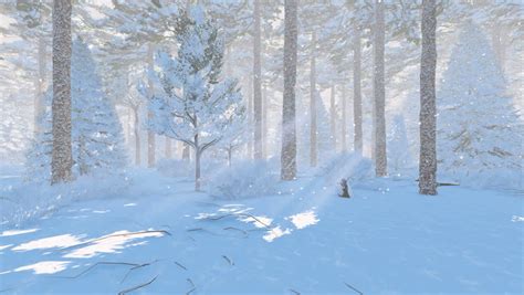 Sunny Winter Day In A Snow Covered Spruce Forest At Snowfall Camera