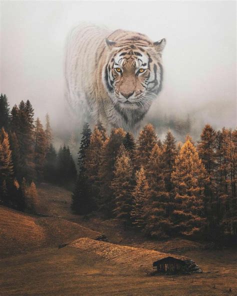 78 Surreal Digital Manipulations From The Artist Behind The Photoshop