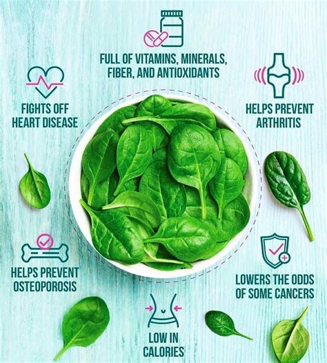 The Health Benefits Of Spinach Health And Nutrition Health And