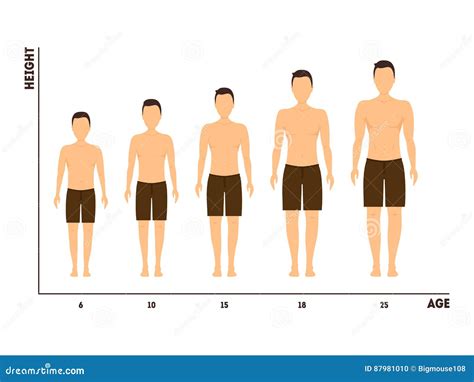 Mesure De Taille Et D'âge De Croissance De Garçon à L'homme Vecteur