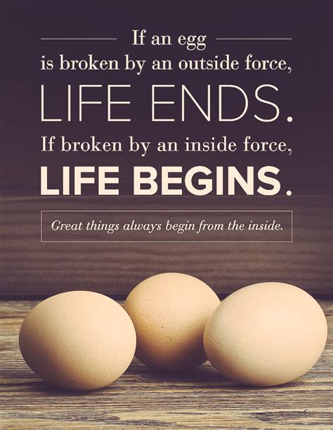 Quotes About Eggs 365 Quotes