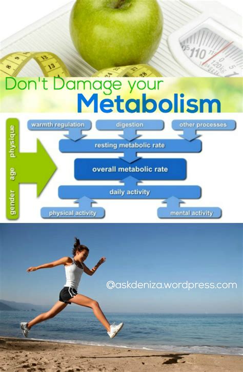 All About Metabolic Damage And How To Avoid It My Guide To Prevent