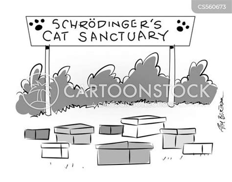 Cat Sanctuary Cartoons And Comics Funny Pictures From Cartoonstock