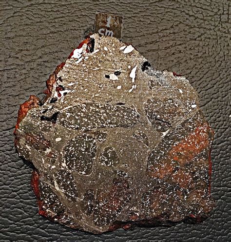 Mpod 200107 From Tucson Meteorites