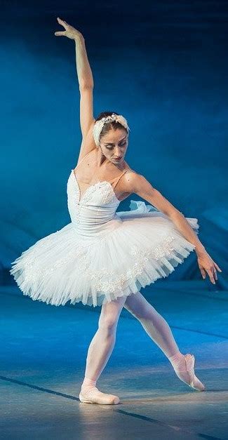 What Is A Perfect Ballerina Body Dancers Forum