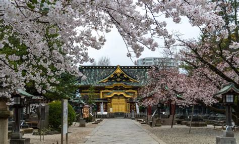 Ueno Is It Worth The Trip Insider Travel Japan