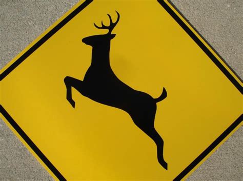 Deer Signs W11 3 Rice Signs