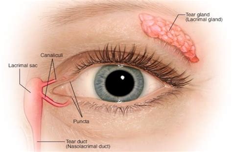 Dry Eye Syndrome Everything You Need To Know Best Optometrist Dr