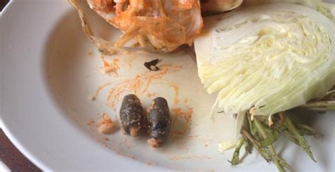 64 (14:03 น.) ความคิดเห็น 1. ระวัง! กุ้งแม่น้ำฝังตะกั่ว ร้านดังย่านอยุธยา - Pantip