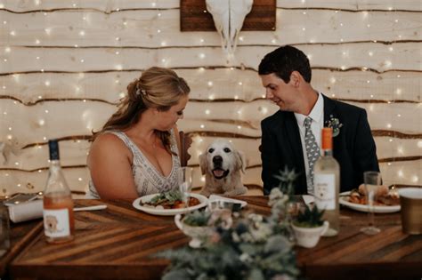 Rustic Diy Golden Retriever Wedding Day Dogwedding Weddingchicks