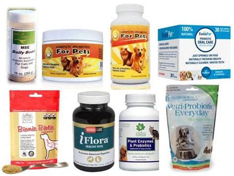 Mar 09, 2021 · nusentia probiotic miracle powder is our top pick for an affordable probiotic for dogs. Ottawa Valley Dog Whisperer : Probiotics for Dogs ...