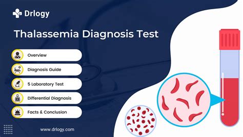 5 Important Thalassemia Diagnosis Test For Accurate Solution Drlogy