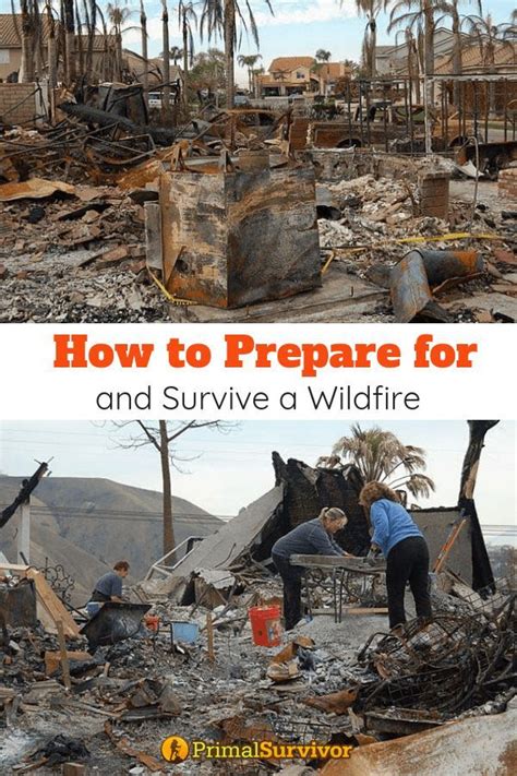 How To Prepare For And Survive A Wildfire Survival Skills Survival