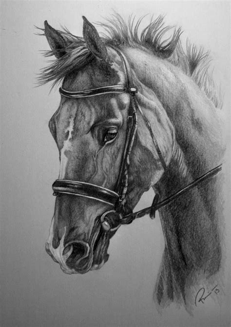 How To Draw A Realistic Horse At Drawing Tutorials
