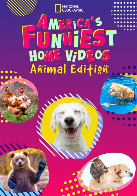 Americas Funniest Home Videos Animal Edition Season 1 Streaming