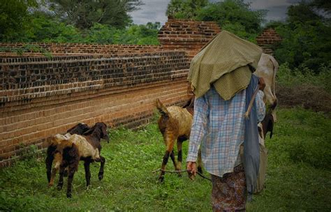 Myanmar Bagan Bagan Myanmar Bagan Myanmar