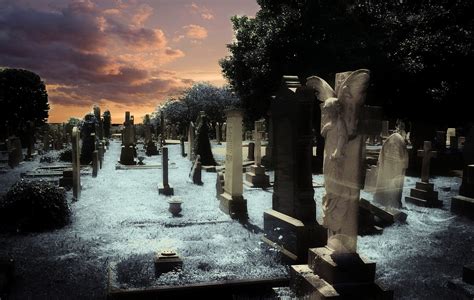 Graveyard Headstone Cemetery · Free Photo On Pixabay