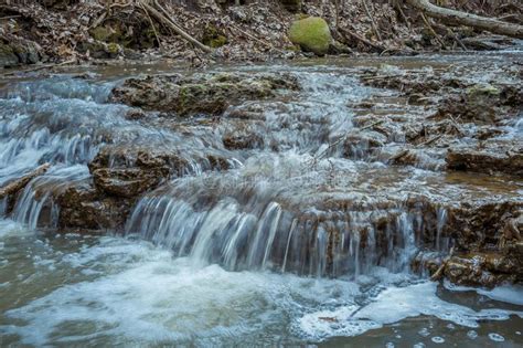 Cascades On A Clear Creek In A Forest Stock Photo Image Of Limestone