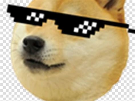 Roblox Doge Decal Roblox Hack Dll 2019
