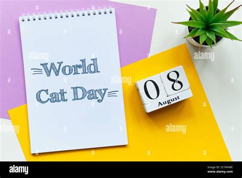 8 De Agosto Día Mundial Del Gato Octavo Día Mes Calendario Concepto