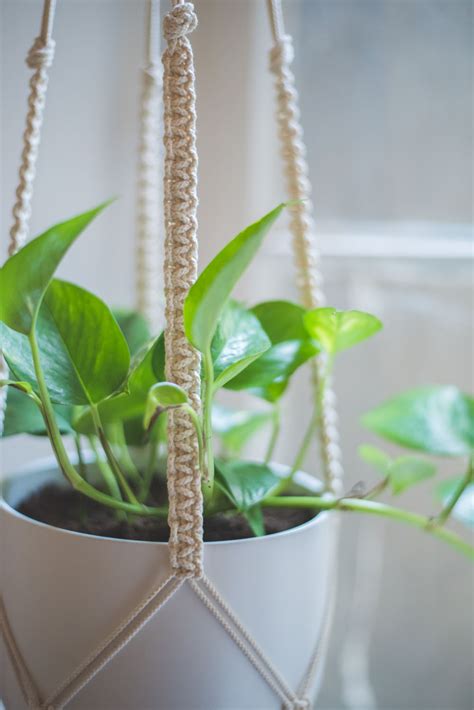 A lot of these are small or mini versions so they are not as intimidating. Easy Home-DIY: Macrame Plant Hanger Tutorial - heylilahey.