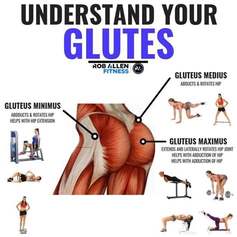 Understand Your Glutes Follow For Mor Glute Activation Exercises