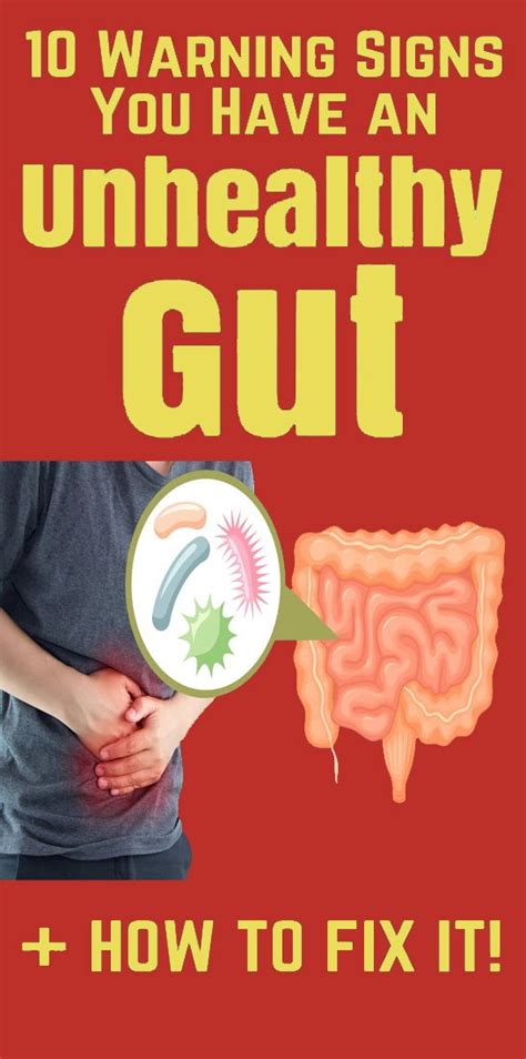 10 Warning Signs You Have An Unhealthy Gut And How To Build A Healthy