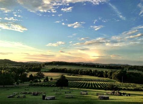 Arrington Vineyards 2021 All You Need To Know Before You Go Tours