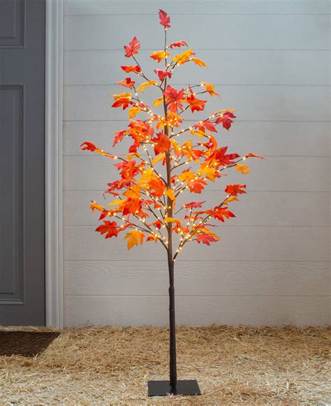 Outdoor Led Artificial Autumn Maple Tree Balsam Hill