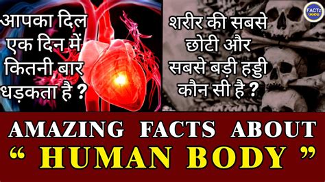 मानव शरीर की आश्चर्य भरी रोचक बातें Human Body Facts Amazing Fact