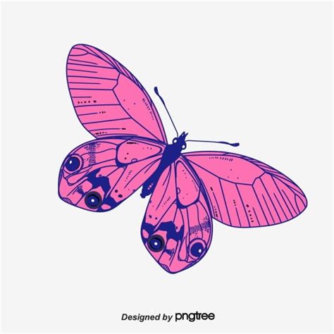 Download Pink Butterfly Clipart, Butterfly Vector, Pink Vector PNG ...