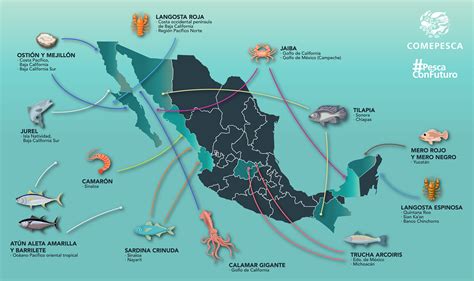 Top 19 Mejores Mapa De Las Principales Zonas Pesqueras De Mexico En 2022
